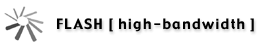 FLASH [high bandwidth]